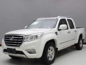 GWM WINGLE 6 2019