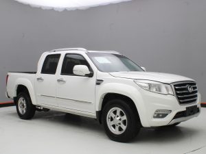 GWM WINGLE 6 2019