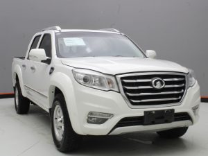 GWM WINGLE 6 2019