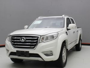 GWM WINGLE 6 2019