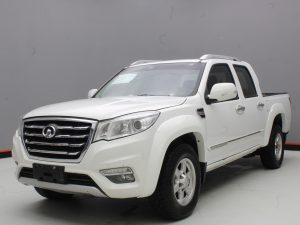 GWM WINGLE 6 2019