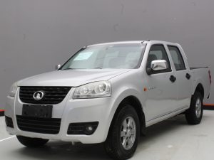 GWM WINGLE 5 2019
