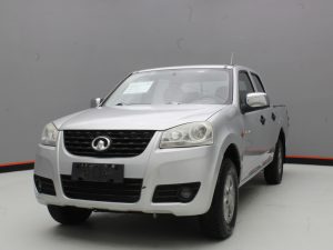 GWM WINGLE 5 2019