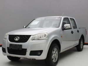 GWM WINGLE 5 2019