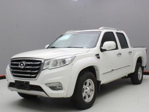 GWM WINGLE 6 2019