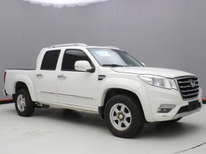 GWM WINGLE 6 2019