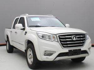 GWM WINGLE 6 2019