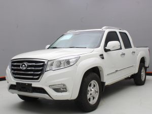 GWM WINGLE 6 2019