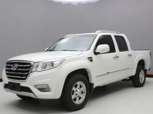 GWM WINGLE 6 2019