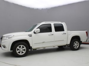 GWM WINGLE 6 2019