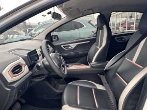 JAC E-S1 HATCH AT 5PTS FULL ELECTRIC 2025