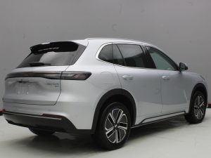 GEELY EX5 EM-I PRO 1.000KM DE AUTONOMIA
