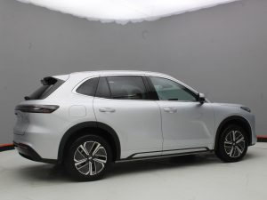 GEELY EX5 EM-I PRO 1.000KM DE AUTONOMIA