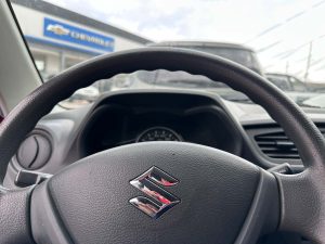 SUZUKI ALTO 800 GA FULL 2018