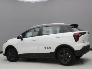 GEELY GEOMETRY E 2025