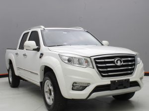 GWM WINGLE 6 4X4 2019