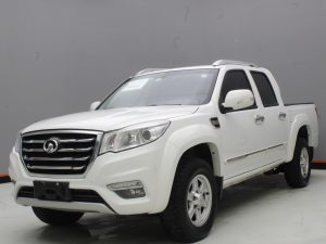 GWM WINGLE 6 2019