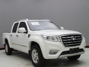 GWM WINGLE 6 2019