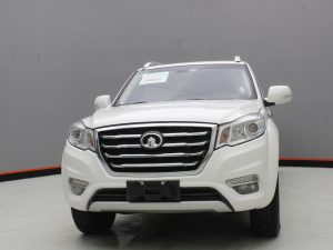 GWM WINGLE 6 2019