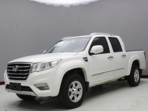 GWM WINGLE 6 2019