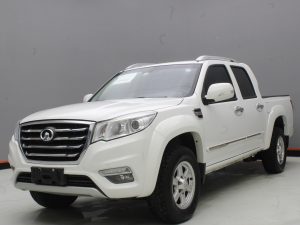 GWM WINGLE 6 2019