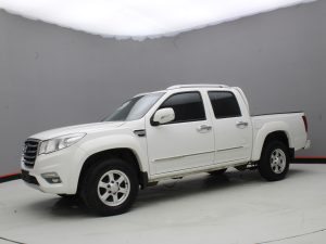 GWM WINGLE 6 2019