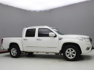 GWM WINGLE 6 2019
