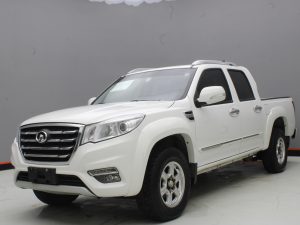 GWM WINGLE 6 2019
