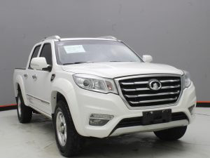 GWM WINGLE 6 2019