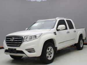GWM WINGLE 6 2019
