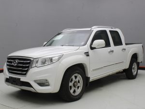 GWM WINGLE 6 2019