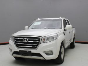 GWM WINGLE 6 2019