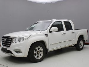 GWM WINGLE 6 2019