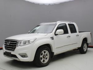 GWM WINGLE 6 2019