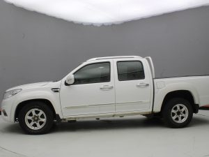 GWM WINGLE 6 2019