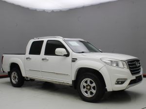 GWM WINGLE 6 2019