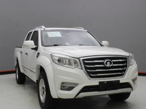 GWM WINGLE 6 2019