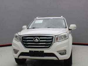 GWM WINGLE 6 2019