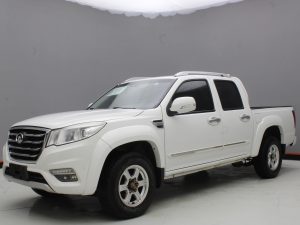 GWM WINGLE 6 2019