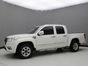 GWM WINGLE 6 2019