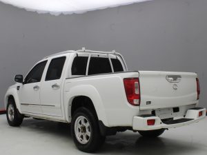 GWM WINGLE 6 2019